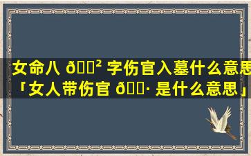 女命八 🌲 字伤官入墓什么意思「女人带伤官 🌷 是什么意思」